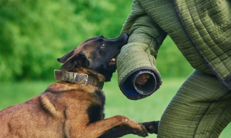 Dog bite attorney in Lake Worth assisting an injured dog attack victim with a legal consultation